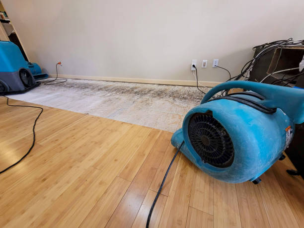 Professional Water Damage Repair technician working in Scioto Furnace, OH